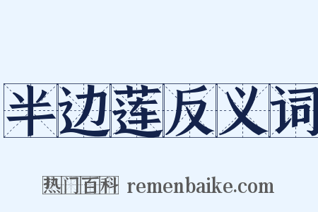 半边莲反义词是什么意思的图片